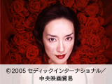 奇妙なサーカス